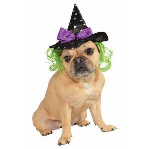 Halloween Witch Hat with Green Hair for Dogs by Rubies Pet Shop Boutique S/M NEW